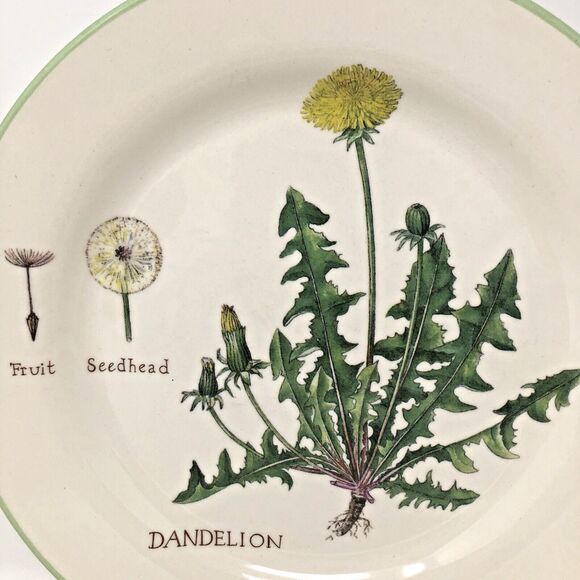 Williams Sonoma Culinary Herbs Luncheon Plates 8.75" Salad Portugal Set of 3 - Picture 12 of 12